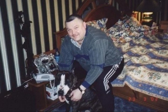 Дмитрий Веселов убил любимую собаку звезды шансона