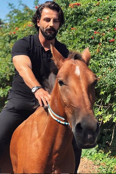 Гекберк очень популярен на родине