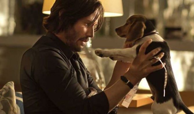 Собаки в принципе играют важную роль в трилогии