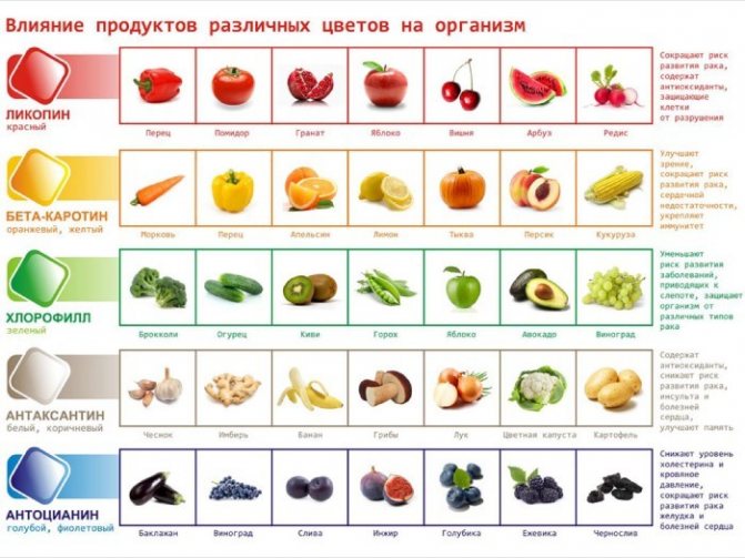 Влияние продуктов различных цветов на организм